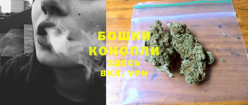 продажа наркотиков  МЕГА вход  Канабис SATIVA & INDICA  Нурлат 